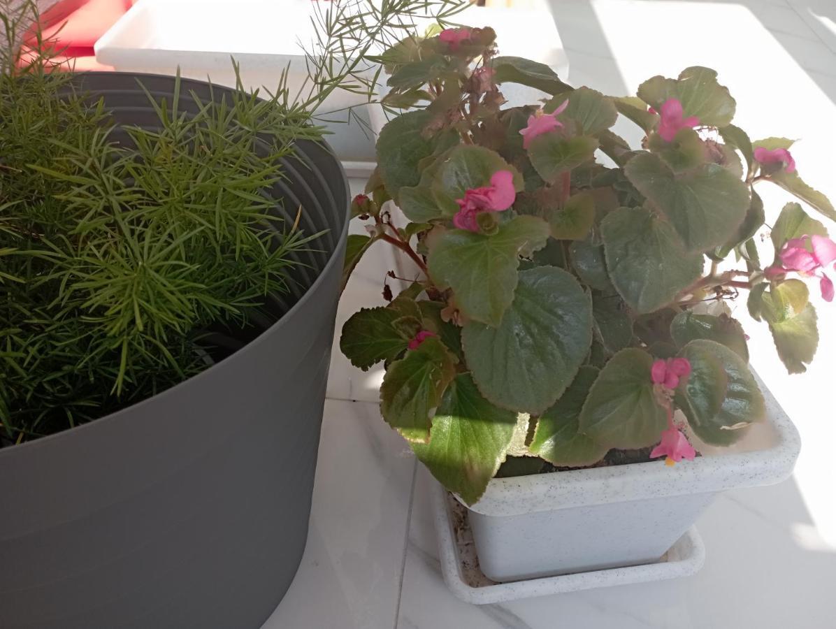 וודיצה Apartmani Trubi 3 מראה חיצוני תמונה